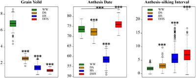 Genome-Wide Association Mapping and Genomic Prediction Analyses Reveal the Genetic Architecture of Grain Yield and Flowering Time Under Drought and Heat Stress Conditions in Maize